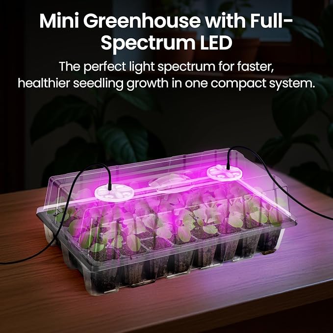 Bonviee 2-Pack Seed Starter Tray with Plant Light, Elevated Seedling Starter Trays Kits with Adjustable Humidity Domes and Clear Cell Tray, 12 Full Spectrum Led Lamp Beads for Plants Indoor-Clear