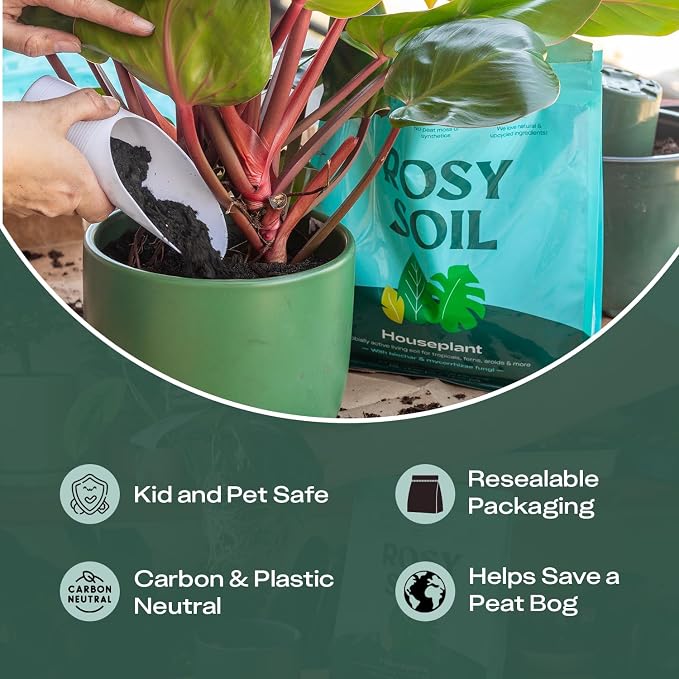Rosy Soil Plant Parent Essentials Gift Box - Indoor Plant Kit & Gardening Tool Kit | Peat-Free Houseplant Soil, Terracotta Watering Bulb, Soil Scoop, Plant Brush - Gift for Father's Day, Plant Lovers