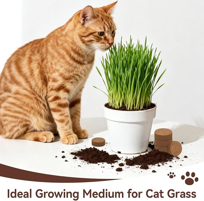 Halatool 200 Pcs Coco Coir Seed Starter Pellets, Seed Starting Soil Pellets for Potting Mix, Cat Grass Soil, Compressed Coconut Dirt Pods for Indoor Outdoor Plants Vegetables Fruits Flowers