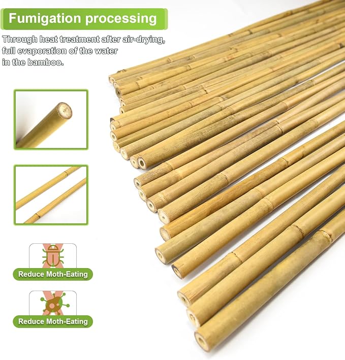 Jollybower 15pcs 3/4" D Thicker Heavy Duty Bamboo Stakes, 7FT Plant Stakes, Natural Garden Stakes for Tomato, Bean, Flowers,Trees Potted and Climbing Plant Support
