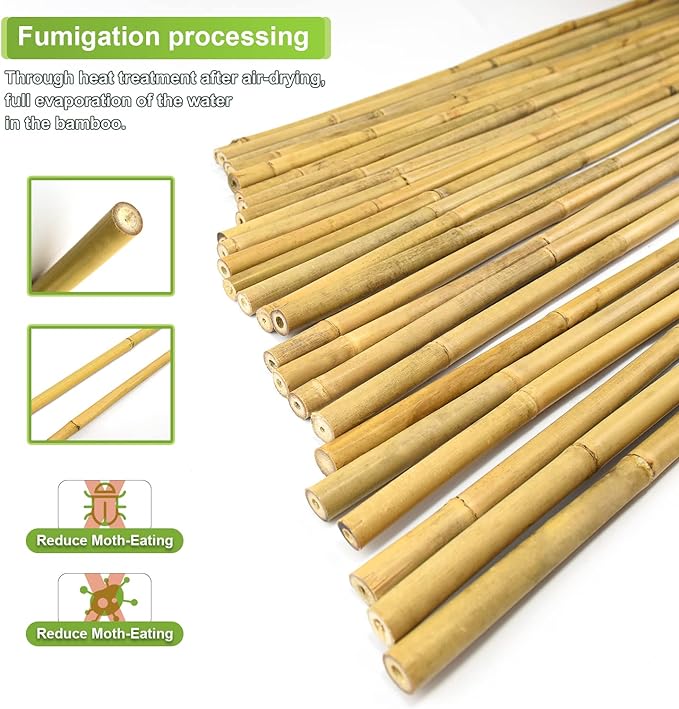 Jollybower 20pcs 5/8" D Thicker Heavy Duty Bamboo Stakes, 6FT Plant Stakes, Natural Garden Stakes for Tomato, Bean, Flowers,Trees Potted and Climbing Plant Support