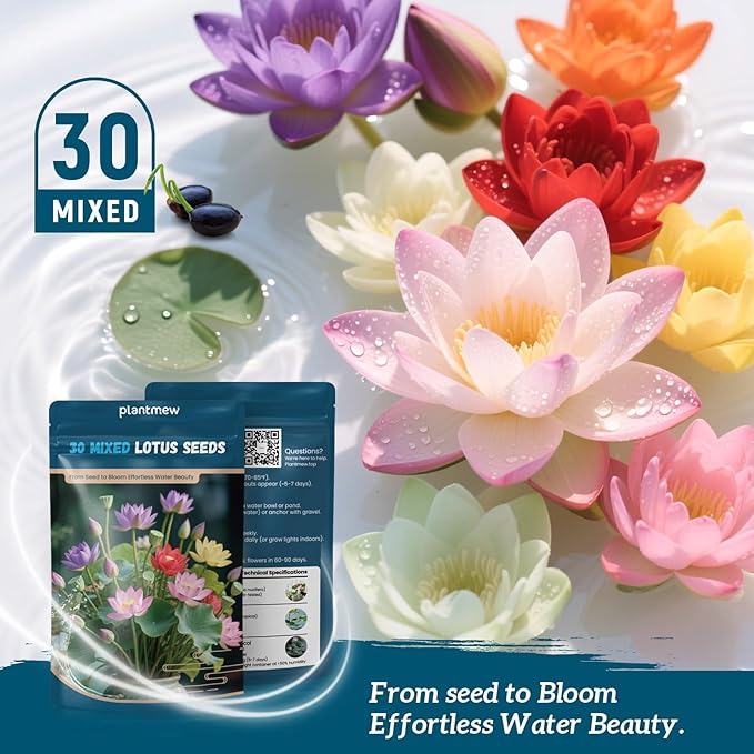 Lotus Seeds for Planting in Water – 30 PCS Mixed Bowl Lotus Seeds, Water Lily & Water Plants for Ponds, Live Pond Plants for Outdoor Ponds, Floating Pond Plants – Indoor Bonsai, Garden, Koi Pond