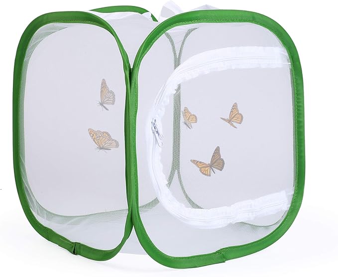 Butterfly Habitat Insect Cage, Small, 12 x 12 x 12 Inches | Caterpillars Enclosure, Pop-up Clear Mesh, 6 Mesh Panels