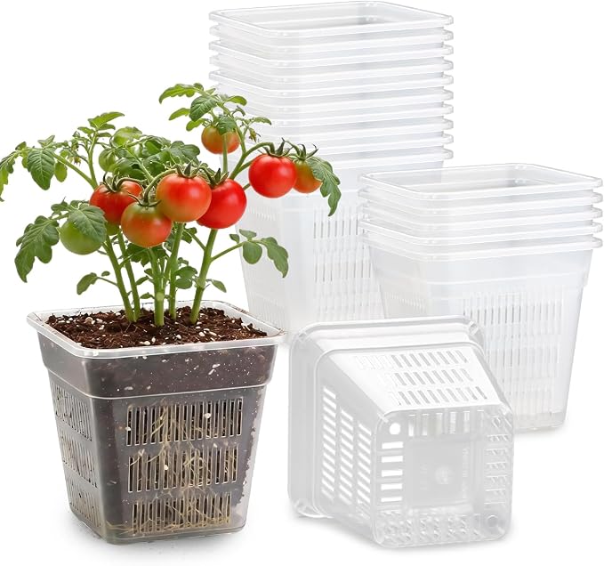 BTPLASTIK Clear Square Nursery Pots, 15 Packs 6 Inch Hydroponics Growing Square Pots, Transparent Plastic Plant Pots for Seed Starting, Root Cutting