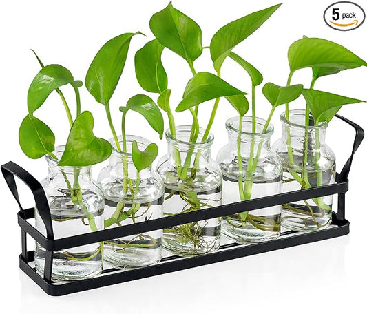 Propagation Stations Indoor Decor Planters Terrarium with Stand,Propogation Planter Glass with 5 Air Plant Terrarium for House Plants Hydroponic Home Garden Office Decoration