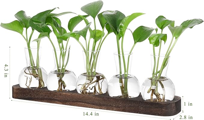 YIBOT Propagation Vases for Plants Terrarium with Wooden Tray,5 Glass Vases | Tabletop Plant Terrarium for Propagating Hydroponic, Retro Glass Planter Flower Vase Home Kitchen Office Decor Gifts