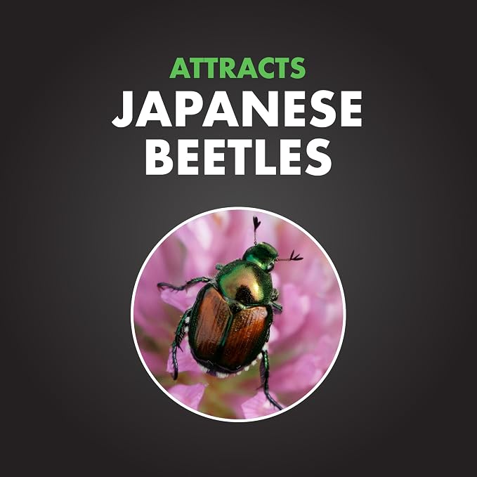 Spectracide Bag-A-Bug Japanese Beetle Trap, Dual Lure System 12 count