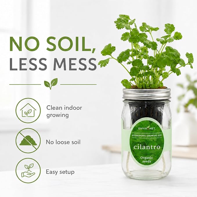 Hydroponic Herb Growing Kit, Self-Watering Mason Jar Window Herb Garden Starter Kit Indoor, Grow Your Own Herbs from Organic Seeds (Cilantro)