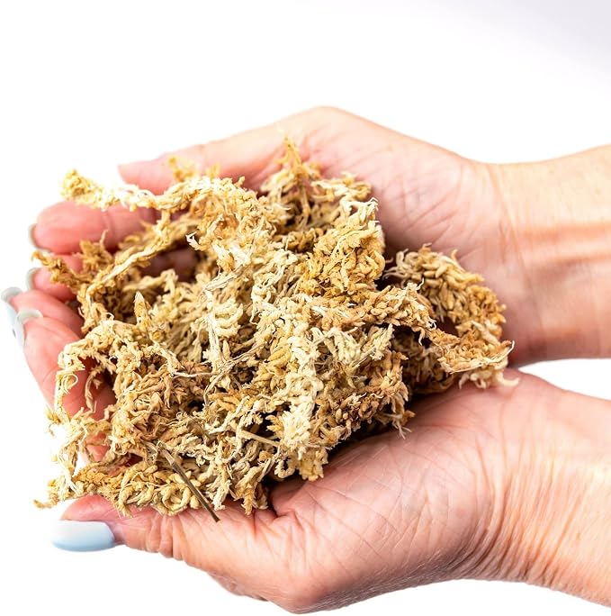 Premium New Zealand Sphagnum Moss by Gardenera - Organic Hand Mixed Long Fibered Sphagnum Moss Orchid - 4 Quart