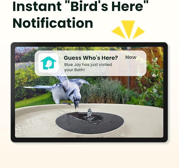 Birdfy Smart Bird Bath with Camera Solar Powered & Solar Fountain & Stand, Dual-Lens Camera for Bird Watching, Auto Capture Bird Videos & AI Identify, Ideal Present for Bird Lover