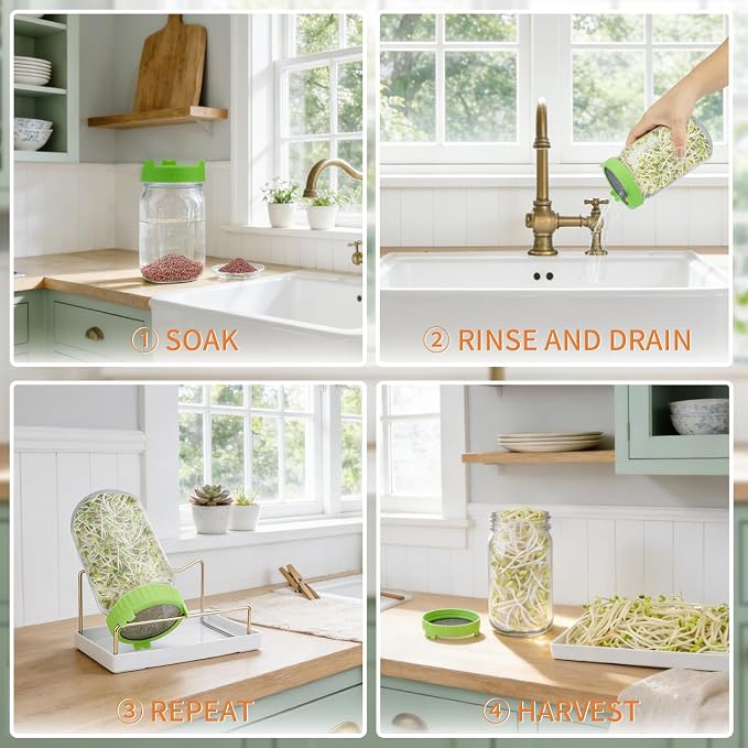 Seed Sprouting Jar Kit with Radish seed 2.9oz, 2 Large Wide Mouth Mason Jars with Sprouting Lids, Blackout Sleeves, Drain Tray, Sprouts Growing Kit for Growing Bean, Alfalfa, Radish Sprout Seeds