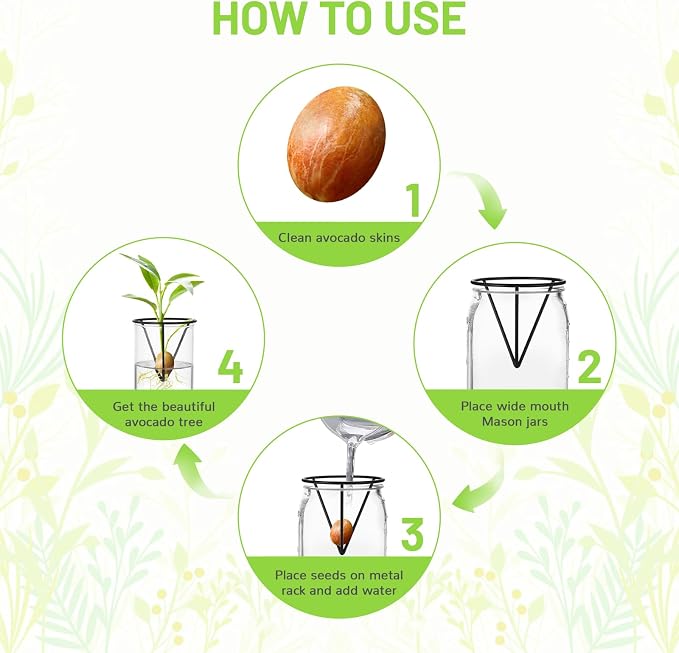 4Pcs Avocado Seed Starter vase Holders That can be Used as Propagation Kits for Plant Propagation vases, not only for Avocados but Also for Other Similar Plants (Carrots, Sweet Potatoes, etc)