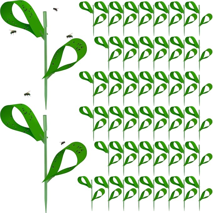 Qualirey 300 Pcs Sticky Houseplant Traps Fungus Gnat Fruit Fly Trap Sticky Houseplant Stakes Insect for Outdoor Garden Aphids, Whiteflies, Fruit Flies, Fungus Gnats, and Other Insects (Green)