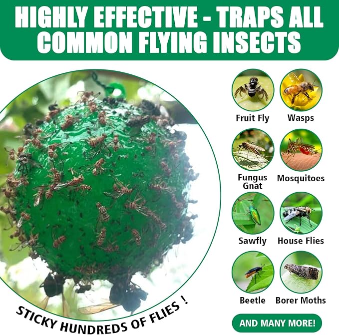 Sticky Insect Trap Ball, osseph Fruit Fly Trap Balls for Indoor Outdoor 6pc, Physical Extra Sticky Hanging Bug Ball Catches Flie Gnat Wasps Mosquitoe Flying Insects (Green)