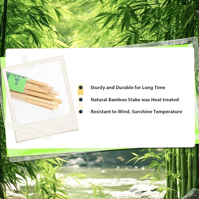 Bamboo Stakes 2FT 35pcs, 24 inch Garden Stakes Multi-Purpose, Bamboo Plant Support Stakes for Beans, Peppers, Flowers, Potted, Maintain the Plant Posture, Strengthen and Stem