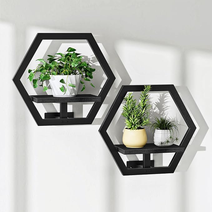 CHOEZON Wall Planters for Indoor Plants Set of 2, Wall Plant Holder, Floating Shelves for Living Room, Bedroom, Kitchen, Home Office, Black TBJ40P2BB