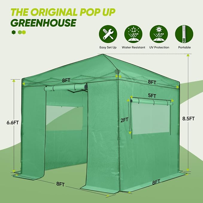 EAGLE PEAK 8x8 Portable Walk in Greenhouse, Pop Up Indoor Outdoor Greenhouse, Green House Kit with Zippered Roll-Up Doors and Windows, PE Cover, Clear/Green
