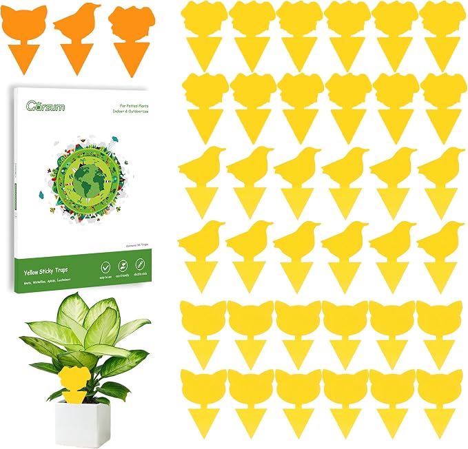 Garsum Gnat Killer Indoor Fruit Fly Traps Yellow Sticky Plants Bug Fungus Fly Catcher Outdoor,36 Pack