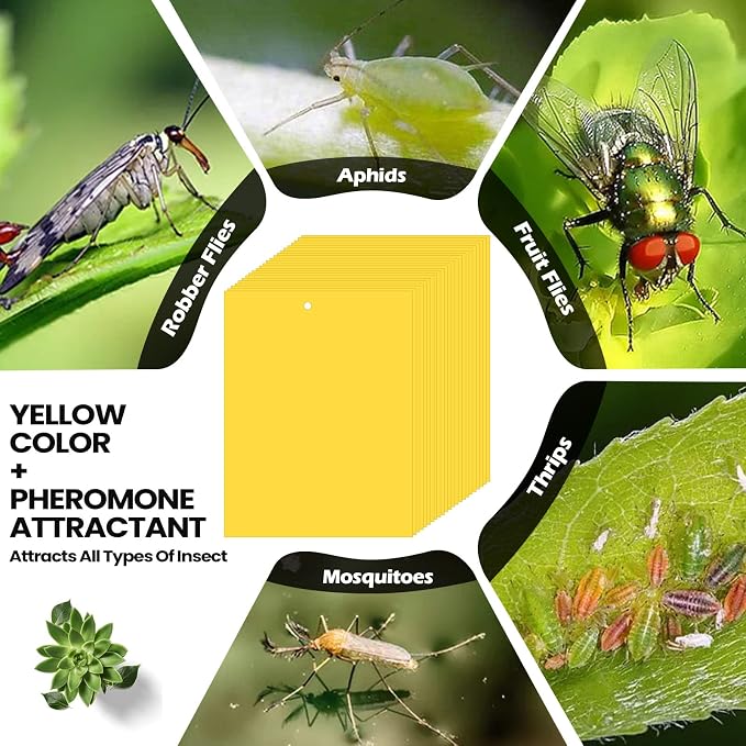 Qualirey 150 Pcs 6x8 Inch Yellow Sticky Traps for Gnats, Dual-Sided Sticky Gnat Traps for Indoor Outdoor Plants, Pest Control for Fungus Gnats, Fruit Flies, Whiteflies – Bulk Pack with Twist Ties
