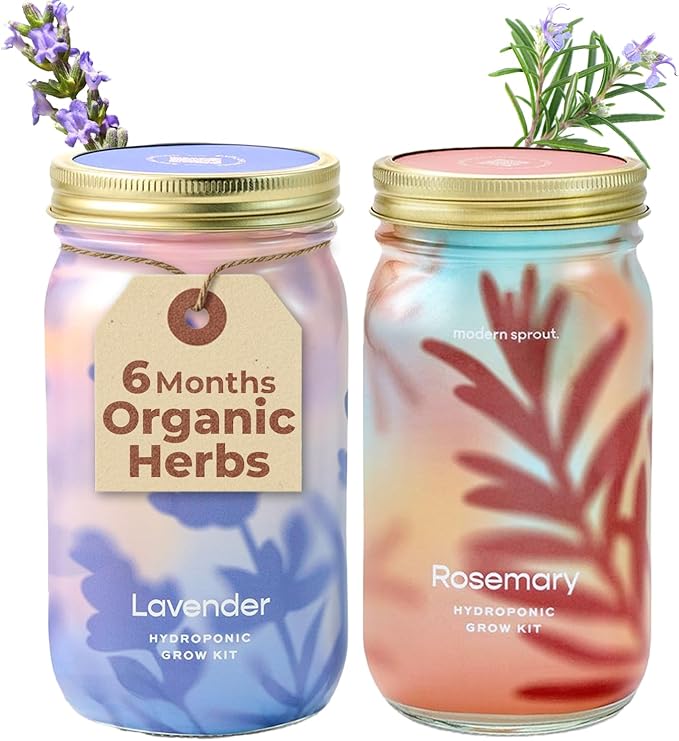 Modern Sprout Mason Garden Jar -Self-Watering Hydroponics Growing System Kit, Organic Herb Seeds-Sprouting Jar Planter for Indoor Herb Garden -Seed Starter Kit -Gift for Mother's Day-Lavender+Rosemary