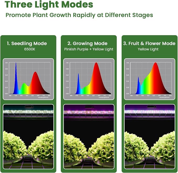 Indoor Greenhouse with Grow Lights, 4 Tier 27" L×19" W×62" H Mini Greenhouse with Zippered PVC Cover for Seed Starting Trays, Dimmable 2FT 60W Plant Light for Indoor Plants with Timer