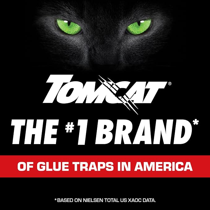 Tomcat Glue Traps Mouse Size with Eugenol for Enhanced Stickiness - Sticky Pads For Mice, Cockroaches, and Spiders, 6 Traps