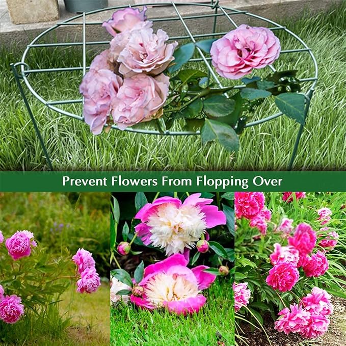 2 Pcs Flower Support Rings, Peony Cage Plant Support Stake,Grow Through Grid Plant Brace, Hoops with 3 Pcs Legs for Heavy Blossoms (2 pcs 24")