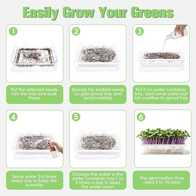 3 Pack Hard Acrylic Microgreens Growing Trays, Visual Soilless Sprouting Kit with Silicone Mats & Spray Bottle, Seed Germination Tray for Wheatgrass, Cat Grass & Vegetables