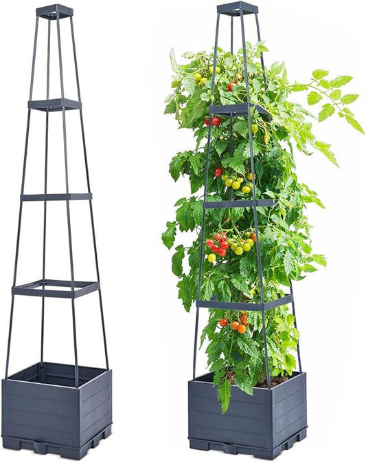 2 Pack Raised Garden Bed Tomato Planter Box with Trellis, 57" Self-Watering Tomato Cage Planters Box for Climbing Plants Vegetable Vine Flowers,Patio Garden Balcony Outdoor & Indoor (2 Pack)