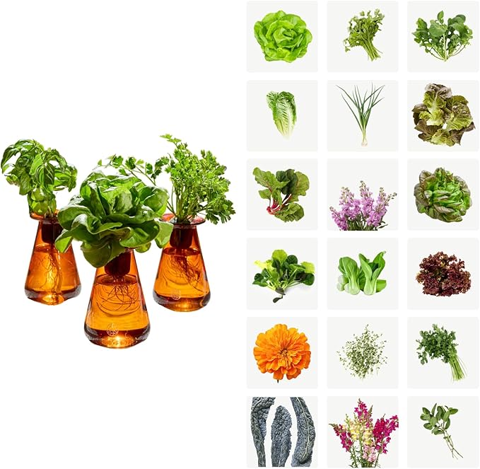 Lettuce Grow Counterstand Hydroponic Garden, Indoor Gardening System Hydroponics Growing System Kit, Herb Garden Planter Indoor Kit Countertop Vase Style No Grow Light