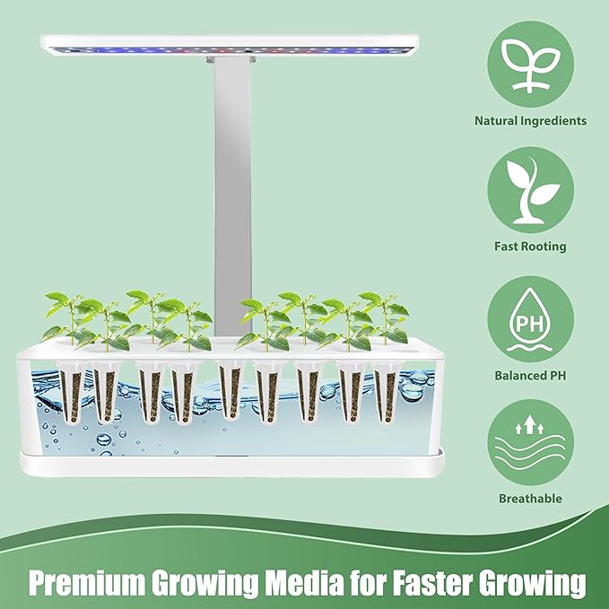 Dill Seed Pods for All Hydroponics Growing Systems, 12 Pods Herb Kit with 400+ Seeds of Dill, Grow Your Own Herb Garden at Home