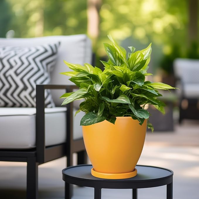 Ceramic Plant Pot - 8 Inch Planter for Indoor Outdoor Plants, Round Flower Pots with Drainage and Tray, Home Office Decor, Orange