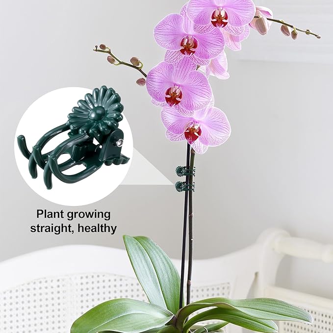 OIIKI 60pcs Orchid Clips for Plants Support, Plant Orchid Support Clips, Vine Tools Supports for Garden Climbing Stems Vines Climbing Plants- Dark Green