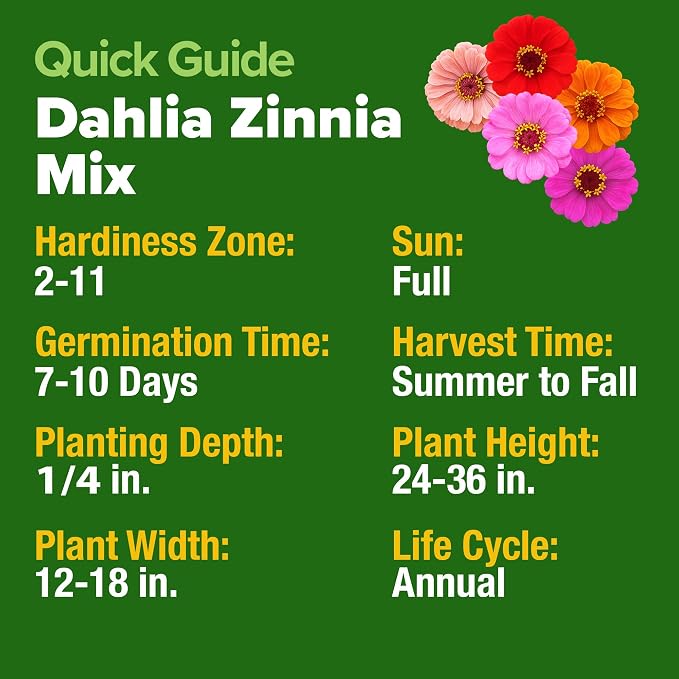 HOME GROWN USA Premium Zinnia Dahlia Seeds Pack for 2026,1048 Non-GMO Flower Seeds, Vibrant Zinnia Elegans for Planting Pollinator Gardens, Borders & Containers, Easy-to-Grow Outdoor Blooms