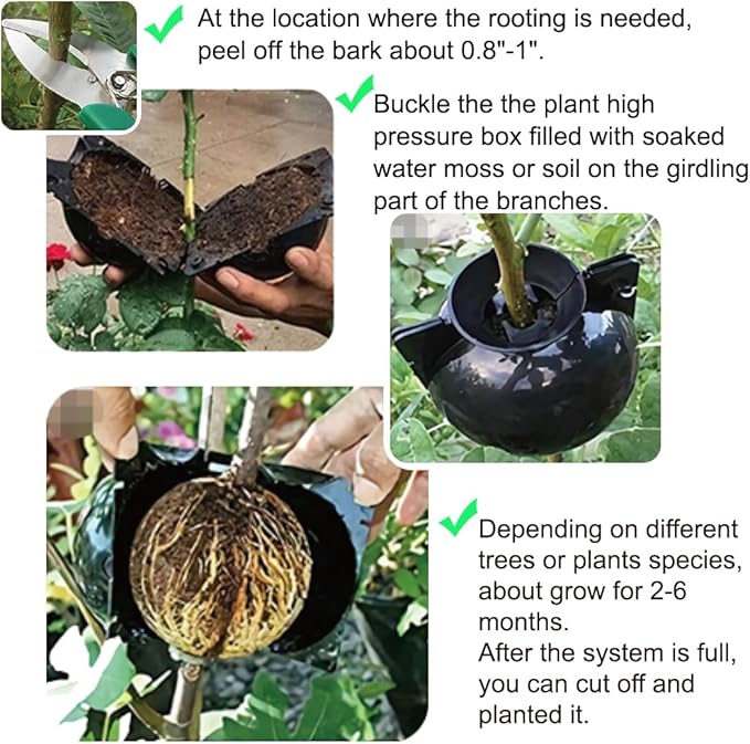 MIIIM 20 PCS Air Layering Propagation Kit with Zip Ties, Reusable Grafting Ball, Clear Air Layering Pods, Rooting Ball for Fast Propagation (Small)