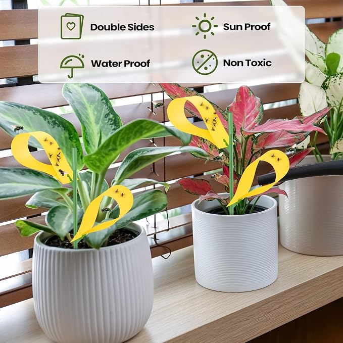 Qualirey 200 Pcs Sticky Houseplant Traps Fungus Gnat Fruit Fly Trap Sticky Houseplant Stakes Insect for Indoor Outdoor Garden Aphids, Whiteflies, Fruit Flies, Fungus Gnat, and Other Insect (Yellow)