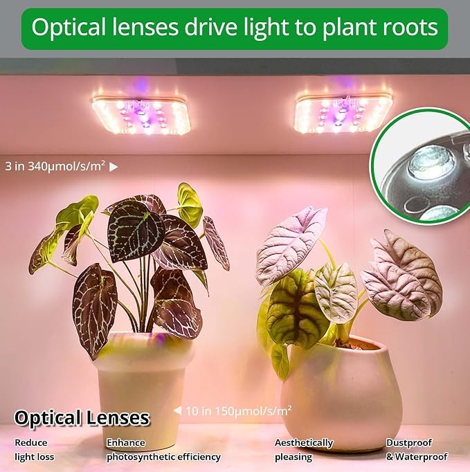 Full Spectrum LED Grow Light for Indoor Plants, 2 Panels 10W with 6/12/16h Timer Dimmable Plant Lights for Flower Veg Plant Growth USB, Pinkish White, 1-Pack