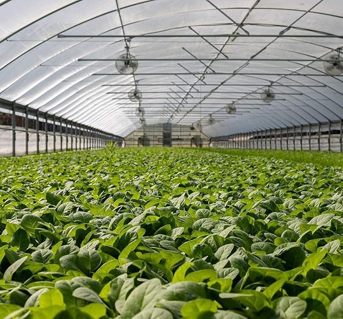Garden Netting Pest Barrier: 10'x20' Fine Bug Netting for Garden Protection Row Cover Raised Bed Screen Mesh Greenhouse Mosquito Net, Protecting Tree Plants Vegetable Flowers Fruits