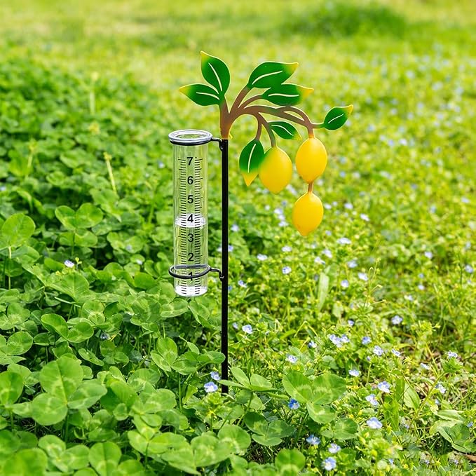 Rain Gauge with 7-Inch Tube, Unique Rain Gauge Outdoor, Decorative Rain Water Gauge for Garden, Yard, Lawn