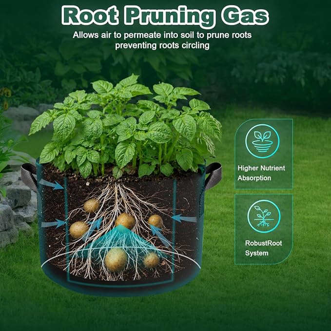 5 Pack 3 Gallon Fabric Grow Bags, Heavy Duty 300G Thickened Aeration Nonwoven Fabric Garden Pots with Handles, Planting Bag for Tomato, Potato, Strawberry, Vegetable, Fruits and Flowers