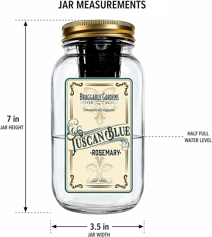Tuscan Blue Rosemary Indoor Herb Garden Kit – Mason Jar Hydroponic Grow Kit – Countertop Windowsill Herb Planter – Self Watering Kitchen Herb Garden