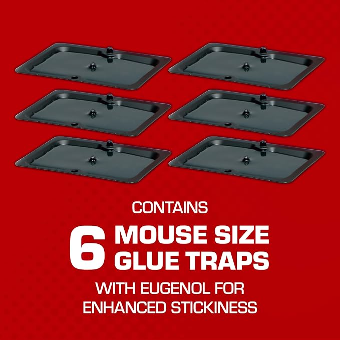 Tomcat Glue Traps Mouse Size with Eugenol for Enhanced Stickiness - Sticky Pads For Mice, Cockroaches, and Spiders, 6 Traps