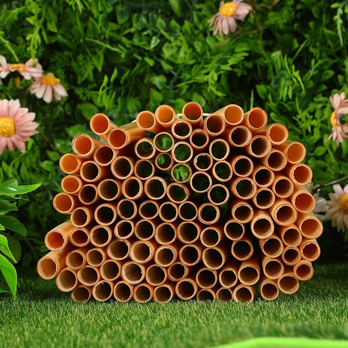 100Pcs Bee House Tubes - Natural Reed Pollinator Tubes for Leaf - Bee Nesting Supplies for Garden Beekeeping and Pollinator Habitat