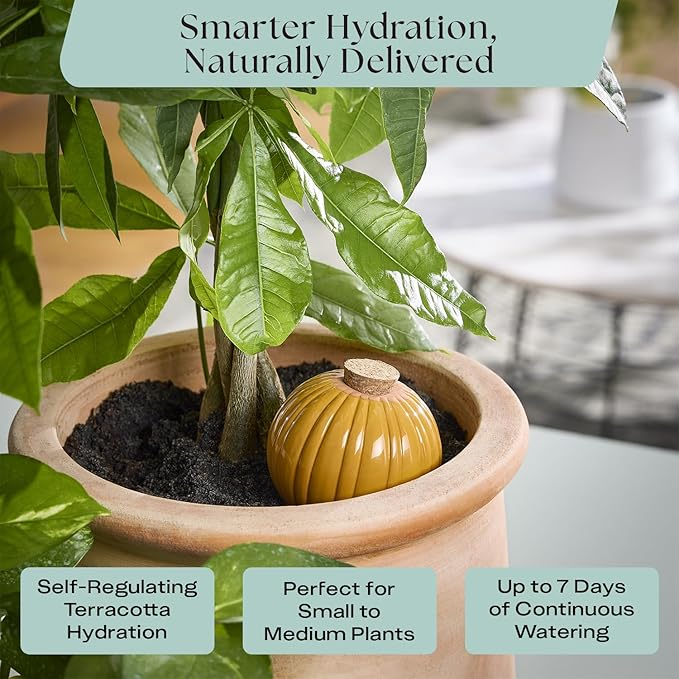 Rosy Soil Plant Parent Essentials Gift Box - Indoor Plant Kit & Gardening Tool Kit | Peat-Free Houseplant Soil, Terracotta Watering Bulb, Soil Scoop, Plant Brush - Gift for Father's Day, Plant Lovers