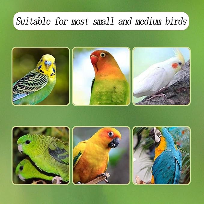 Automatic Acrylic Bird Feeder for Cage, No Mess - Small Bird Parrots, Canary, Parakeet, Budgerigar, Crested Myna, Cockatiel (XL)