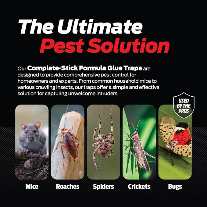 Glue Traps for Mice & Bugs – Safe Around Children & Pets – Strong Adhesive Glue for Bugs, Insects & Cockroaches – Easy to Use & Clean – Sticky Glue Traps for Indoor Use (72 Pack)