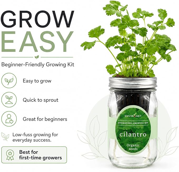 Hydroponic Herb Growing Kit, Self-Watering Mason Jar Window Herb Garden Starter Kit Indoor, Grow Your Own Herbs from Organic Seeds (Cilantro)