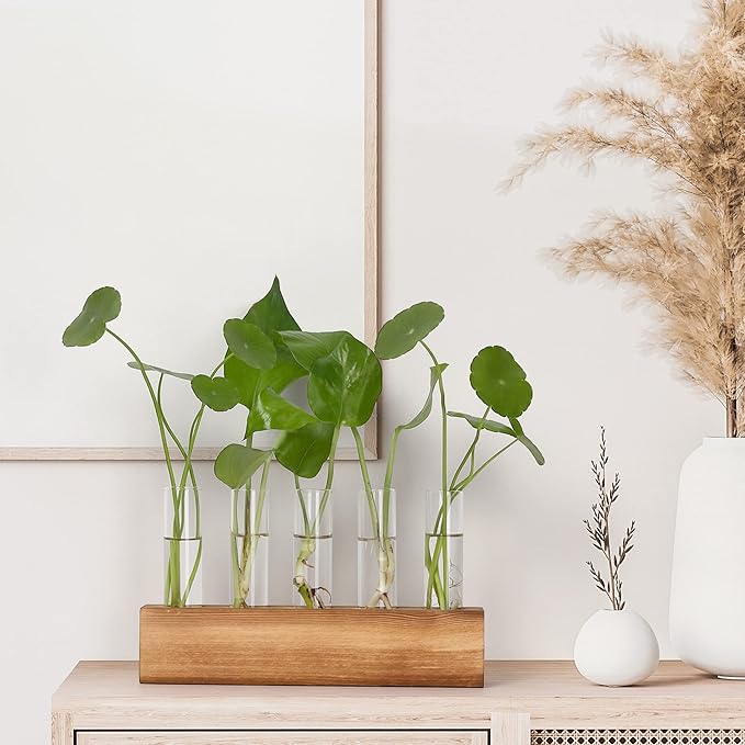 YIBOT Plant Propagation Stations with Wooden Stand,5 Glass Test Tubes Vases | Plant Terrarium,Birthday Gardening Gifts for Women Mom Plant Lovers, Home Office Desk Decor