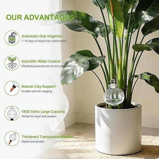 18 Oz Large Plant Watering Globes Large Self Watering Globes, Water Globes Bulbs for Indoor Outdoor Plants, Plant Water Bulbs Feeders for Watering Plants During Vacation Away Time 2-Pack