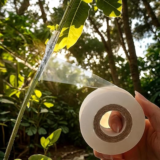 TROUVAILLE Parafilm Tape, Sealing Tape for Petri Dish, Grafting Tapes for Fruit Trees and Plants, Self-Adhesive Stretchable Resilient Film, M 29mm Width